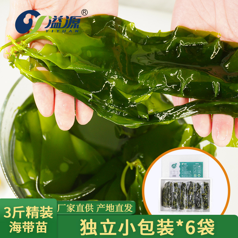 溢源海带苗嫩非特级海带芽3斤精包装250g6袋新鲜三秒火锅食材霞浦