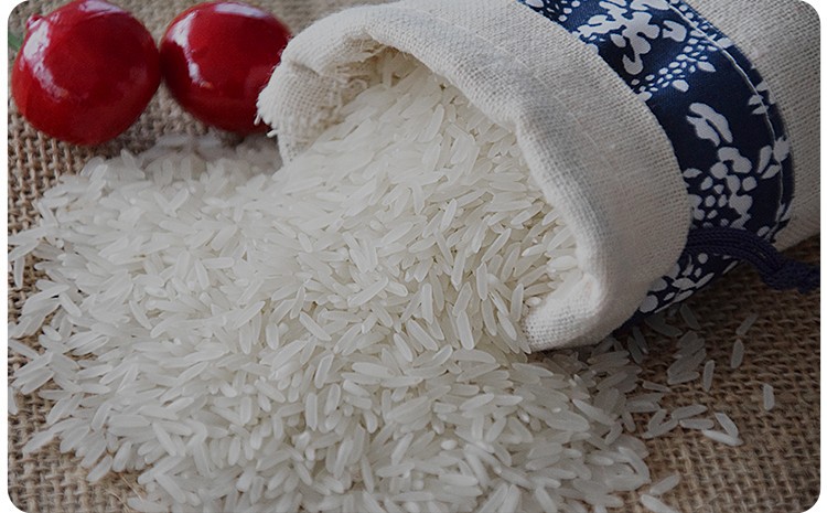 金凤凰玉竹 新米象牙粘米15kg 韶关油粘米香米籼米30斤大米新鲜米