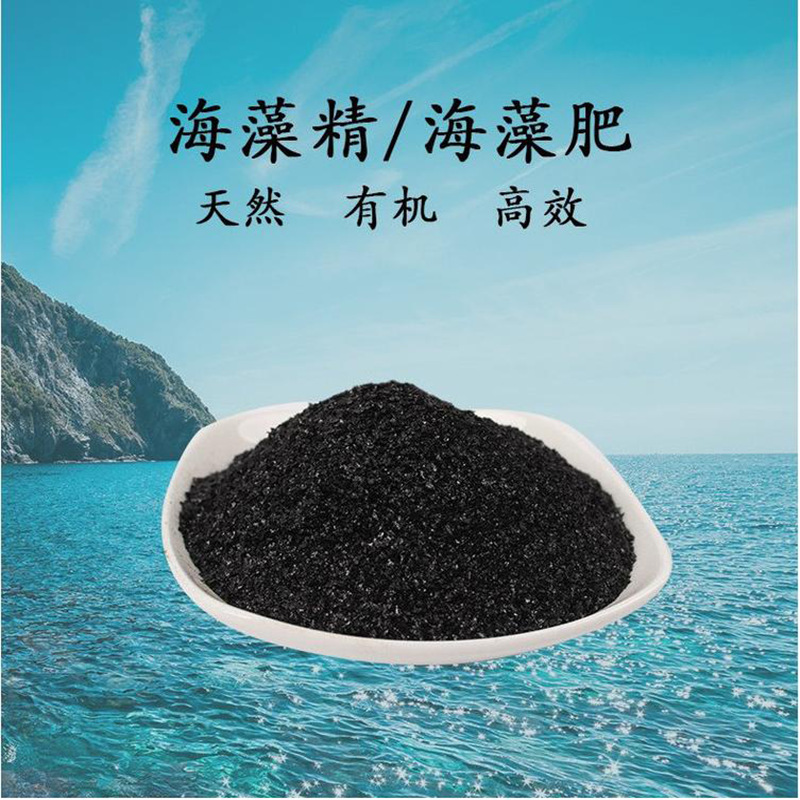 销售海藻精18% 生根壮苗改良土壤绿色肥料黑科技甲壳素 海藻精