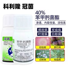 冠茵40%苯甲.肟菌脂杀菌剂农药炭疽病褐斑病疫病香蕉芒果叶斑锈病