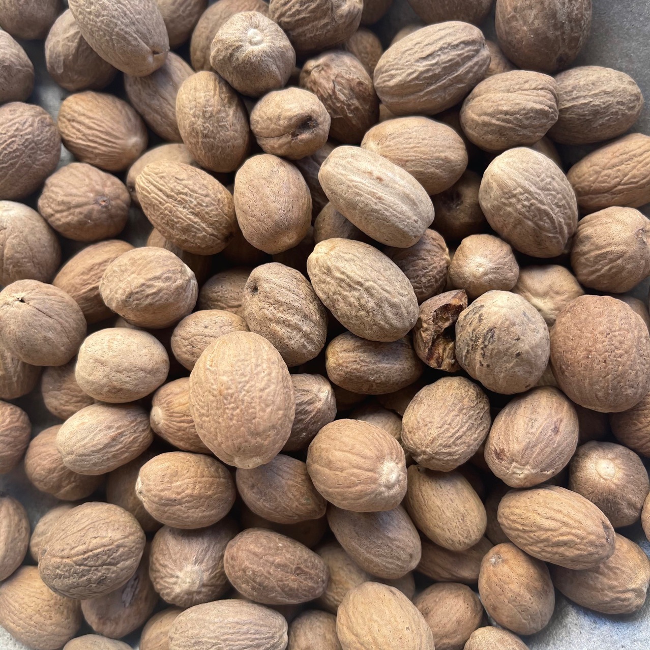 蒙藏药材 肉豆蔻 产地直发 量大从优