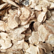 cAm长白山菊苣根100g500g菊苣栀子茶苦菊根菊苣根玉兰根菊苣