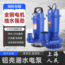 上海人民潜水泵抽水机220v家用抽水高扬程农用灌溉排污清水污水泵