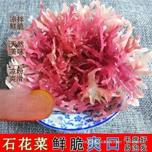 新鲜石花菜 500g麒麟菜珊瑚草海藻龙须菜海石花海冻菜红藻干货