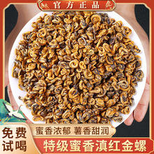 2024新茶滇红金螺茶特级云南古树红茶特一级凤庆工夫红茶蜜香金针