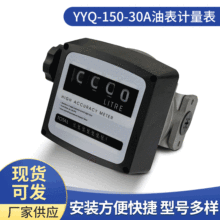 YYQ-150-30A油表计量表厂家供应4位数流量计柴油计量表可计量仪器