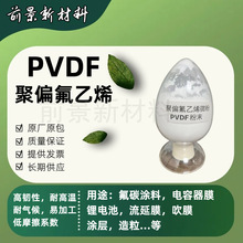 聚偏氟乙烯PVDF粉末5 25微米微粉锂电池膜吹膜流延膜阀门涂层涂料