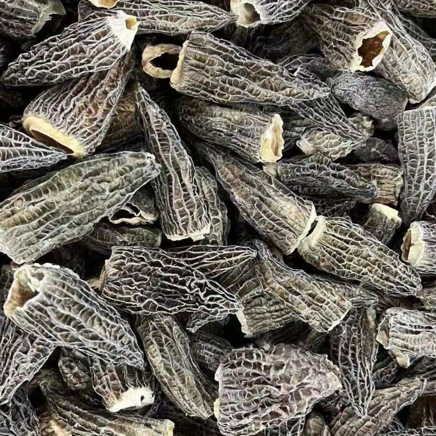 羊肚菌 全无柄羊肚菌250克/包 无柄羊肚菌干货滋补品支持批发代发