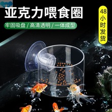 Fish Tank Feeder Red Worm Cup Small Aquarium Fish Feeding