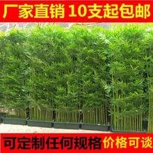 竹子室内装饰加密塑料假竹子隔断屏风室外人造竹植物造景