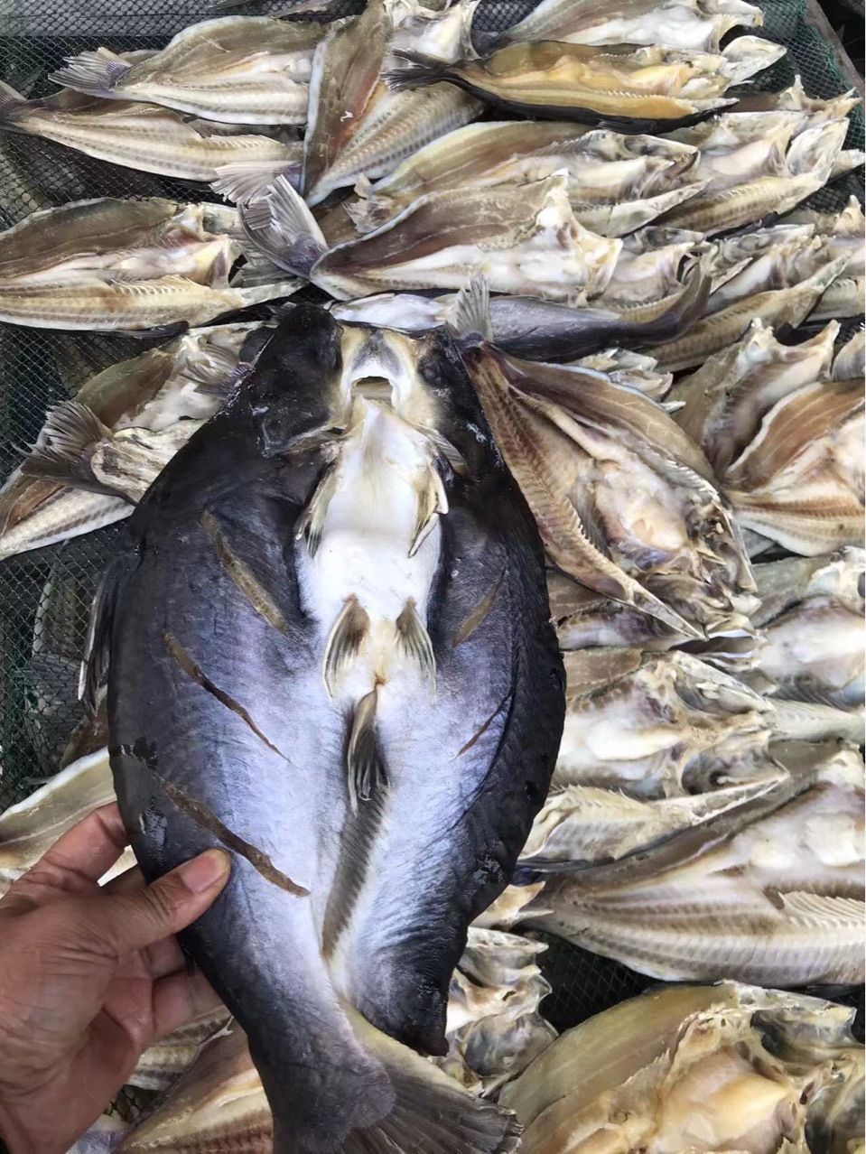 开边巴沙鱼干 跑江湖展会地摊开边巴沙鱼干鱼干干鱼