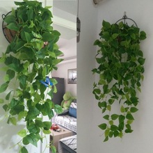 绿叶绿萝植物假吊兰装饰壁挂藤条叶子塑料室内吊篮挂墙假花藤