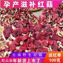 云南菌大红菇干货100/250/500克红菌土特产蘑菇菇类美味山珍