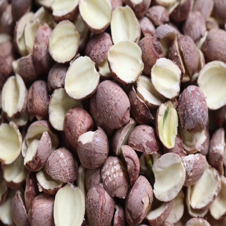 一手货源批开边红莲红皮圆莲去芯湘莲湘潭莲子红边莲煲汤材料