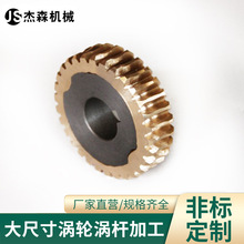 厂家直销减速机蜗轮蜗杆系列 铜蜗轮定 做 蜗轮规格齐全耐磨 批发