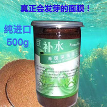 泰国巨补水深海藻小颗粒面膜天然补水保湿孕妇敏感可用