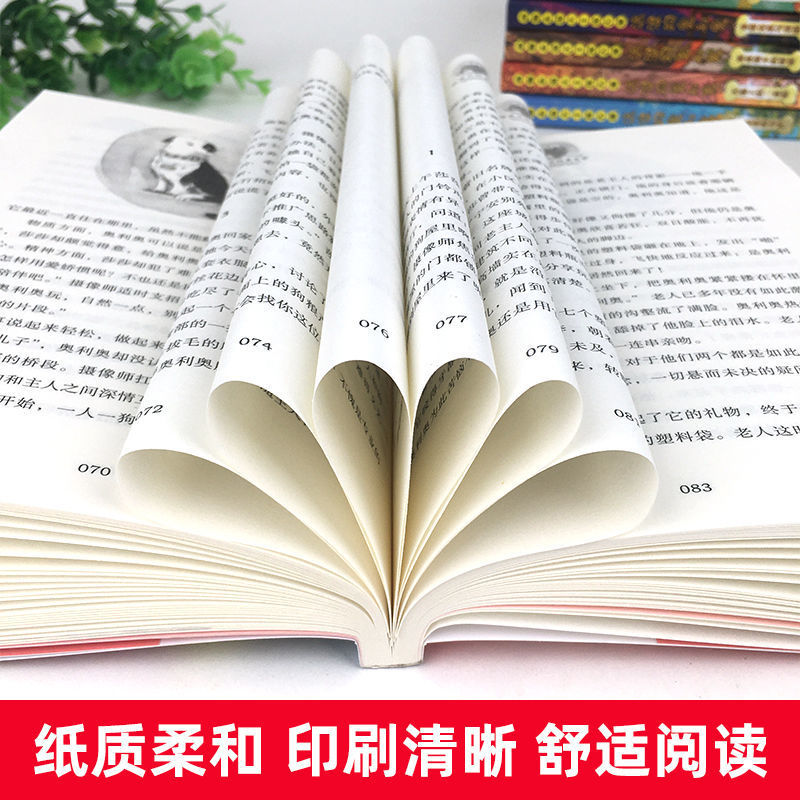 流浪狗奥利奥册小学生课外阅读书籍正版动物小说大王沈石溪力作