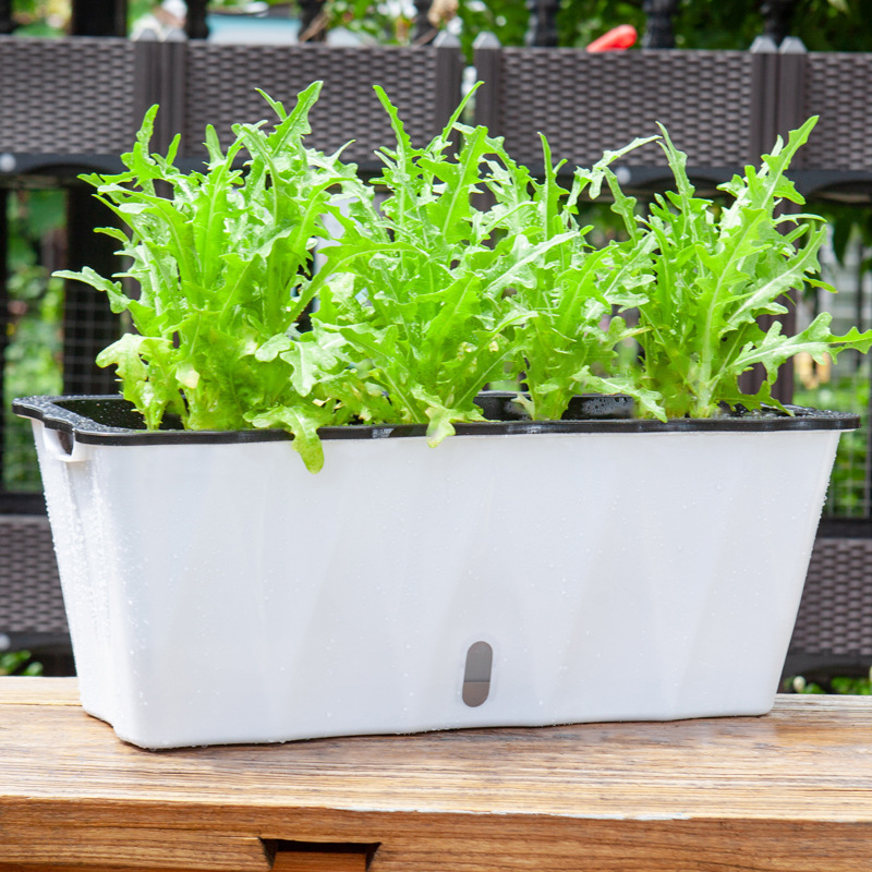 无土栽培懒人自动吸水种菜盆种植箱家庭阳台盆栽种菜长方形花盆