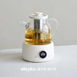 立时家用养生壶全玻璃养生壶纯玻璃家用办公室小型煮茶壶器烧水壶