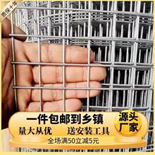 铁丝网笼子蛇
