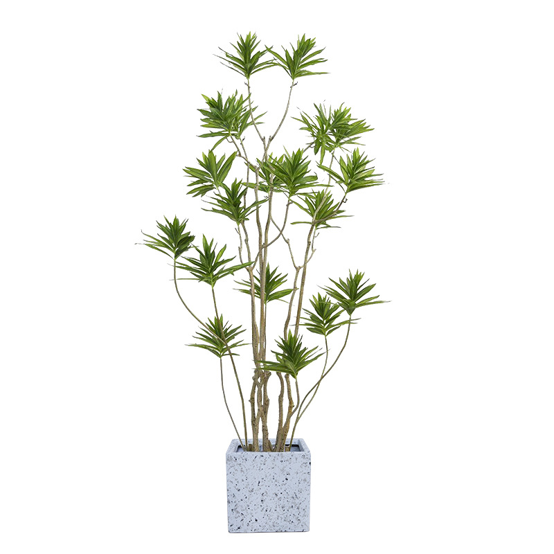 森空间仿真绿色植物装饰金边大型百合竹室内客厅落地仿生植物摆设