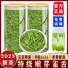 【雀舌2023嫩芽】正宗明前绿茶新茶叶500g毛尖茶浓香型散装送礼