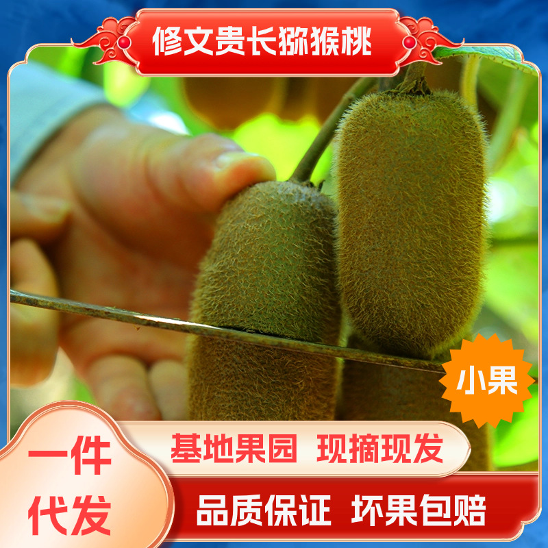 贵州猕猴桃小果5斤10斤装 电商批发一件代发水果奇异果整箱直发