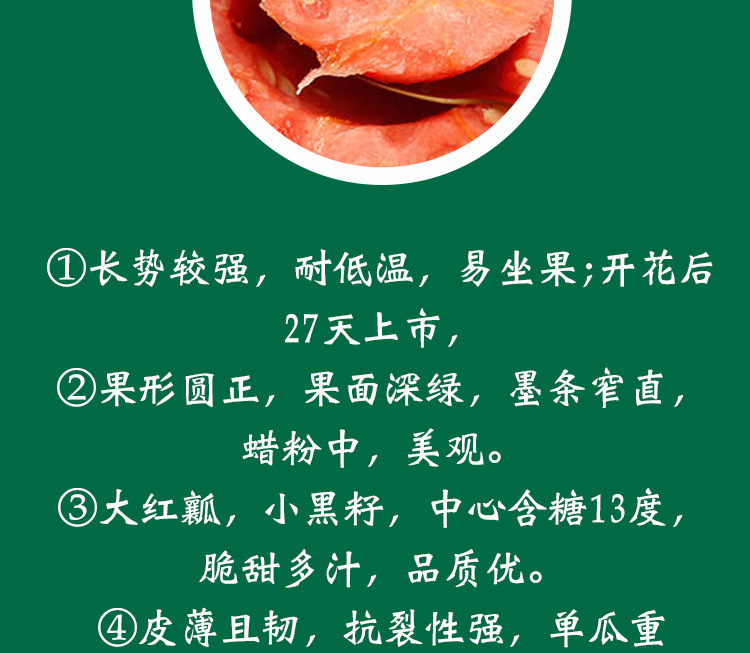 千普元首西瓜种子 薄皮红瓤小黑籽圆果西瓜种籽甜脆西瓜种子批发