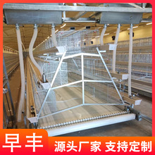 大量现货各种型号肉鸡笼 阶梯式鸡笼子 层叠式养殖场专用肉鸡笼