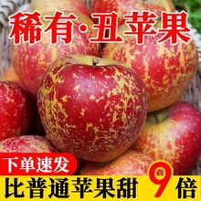 【特级】四川大凉山丑苹果冰糖心新鲜水果当季脆甜红富士整箱批发