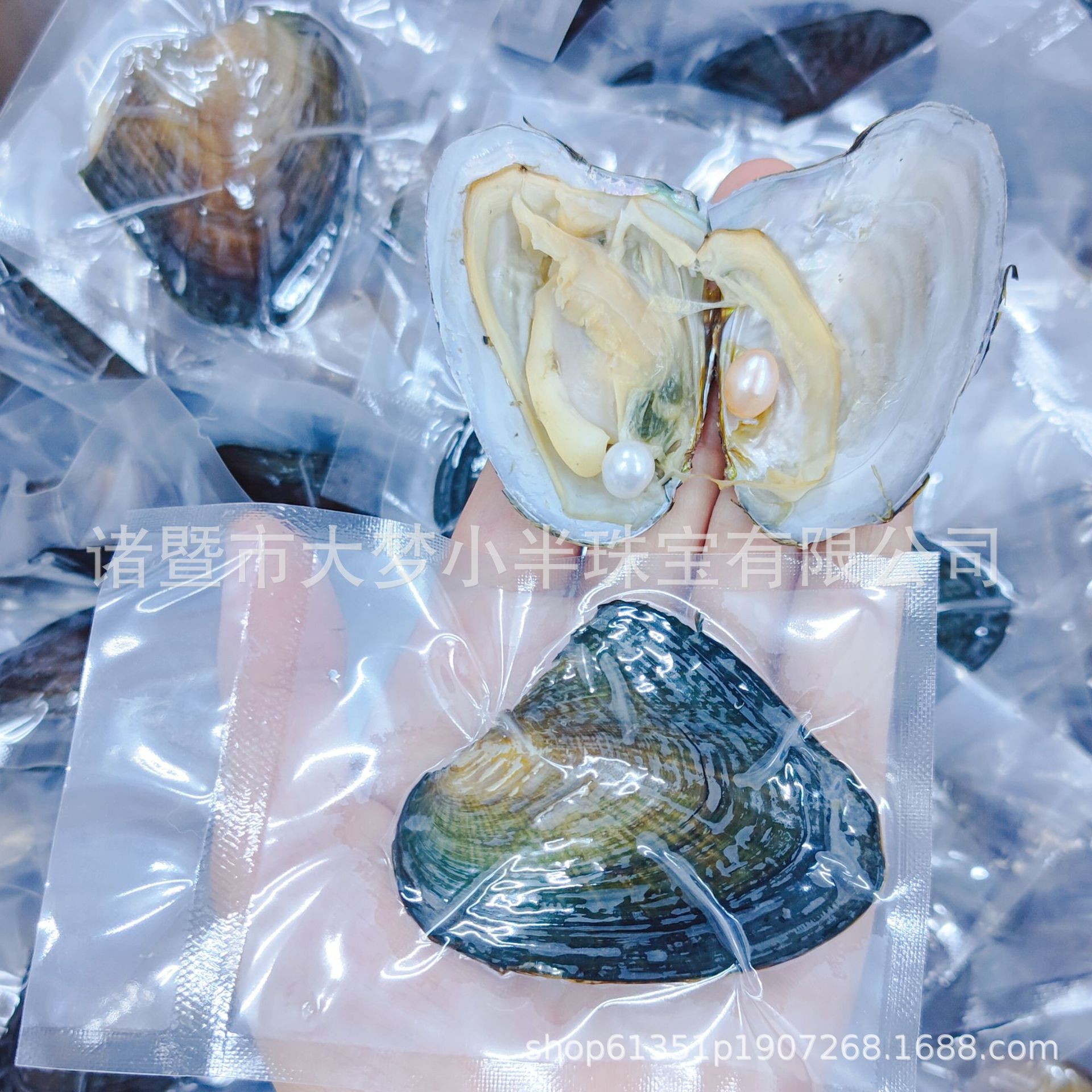8-9mm真珍珠蚌一蚌一珠外贸真空包装袋装小蚌淡水珍珠自己开摆摊
