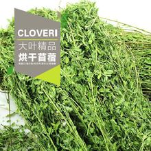 兔子干草批发紫花苜蓿草烘干苜蓿草1kg/箱兔粮饲料牧草龙猫荷兰猪