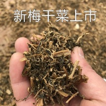 绍兴特产农家梅干菜干货农家干货梅菜干49g-1000g干净