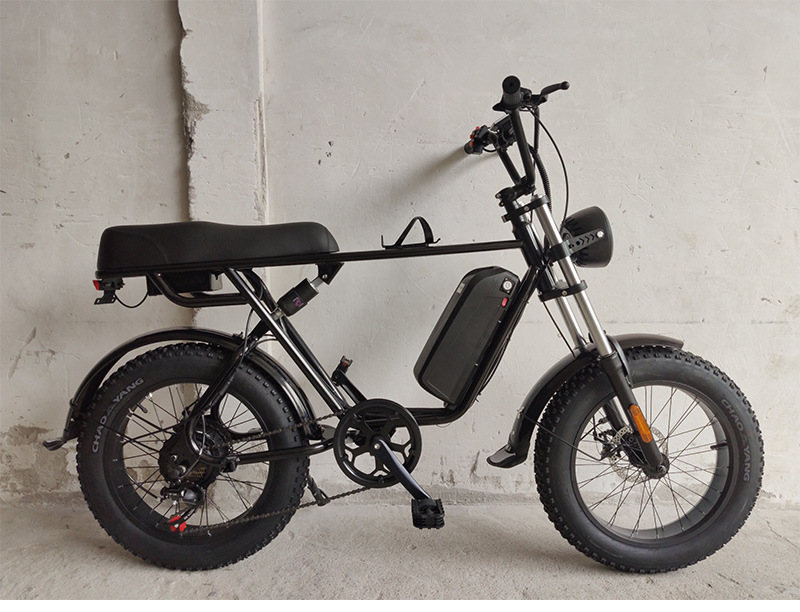 ftn锂电池越野电动自行车助力代步20寸山地车沙滩摩托车电瓶车