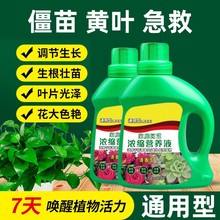 水草植物营养液多肉喷雾家用植物营养绿植黄叶急救盆栽花肥干枯