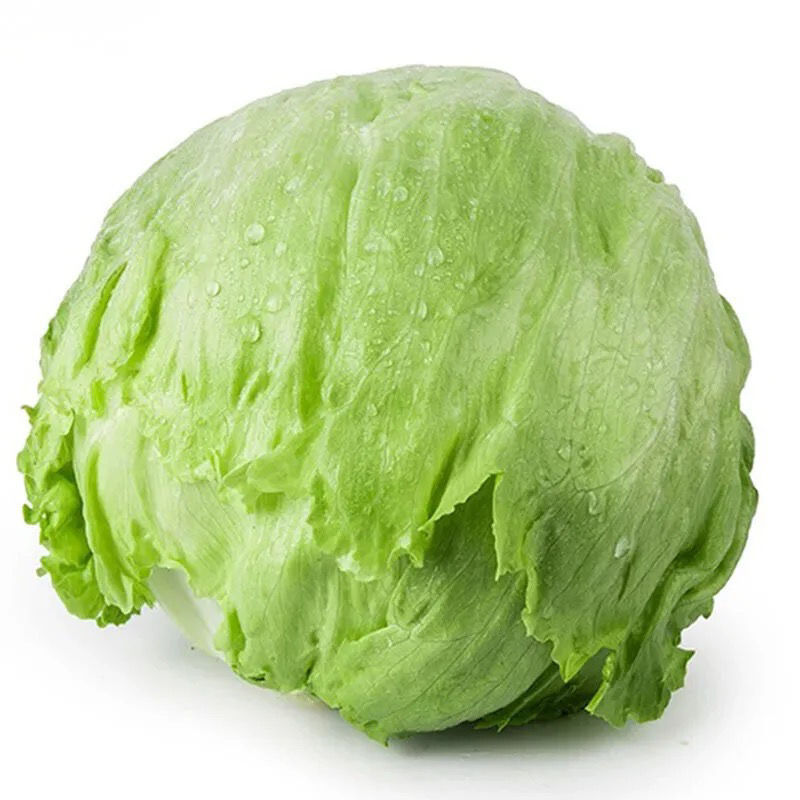 5斤包邮球生菜新鲜蔬菜生吃西生菜生菜球圆生菜球形结沙拉食材