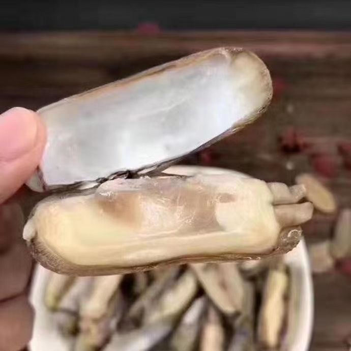 5斤包邮小人仙鲜活冷冻小人仙蛏子花甲蚬子贝类海鲜酒店食材
