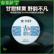 新益号2024早春古树普洱茶生茶饼勐海云南七子饼茶叶自己喝口粮茶