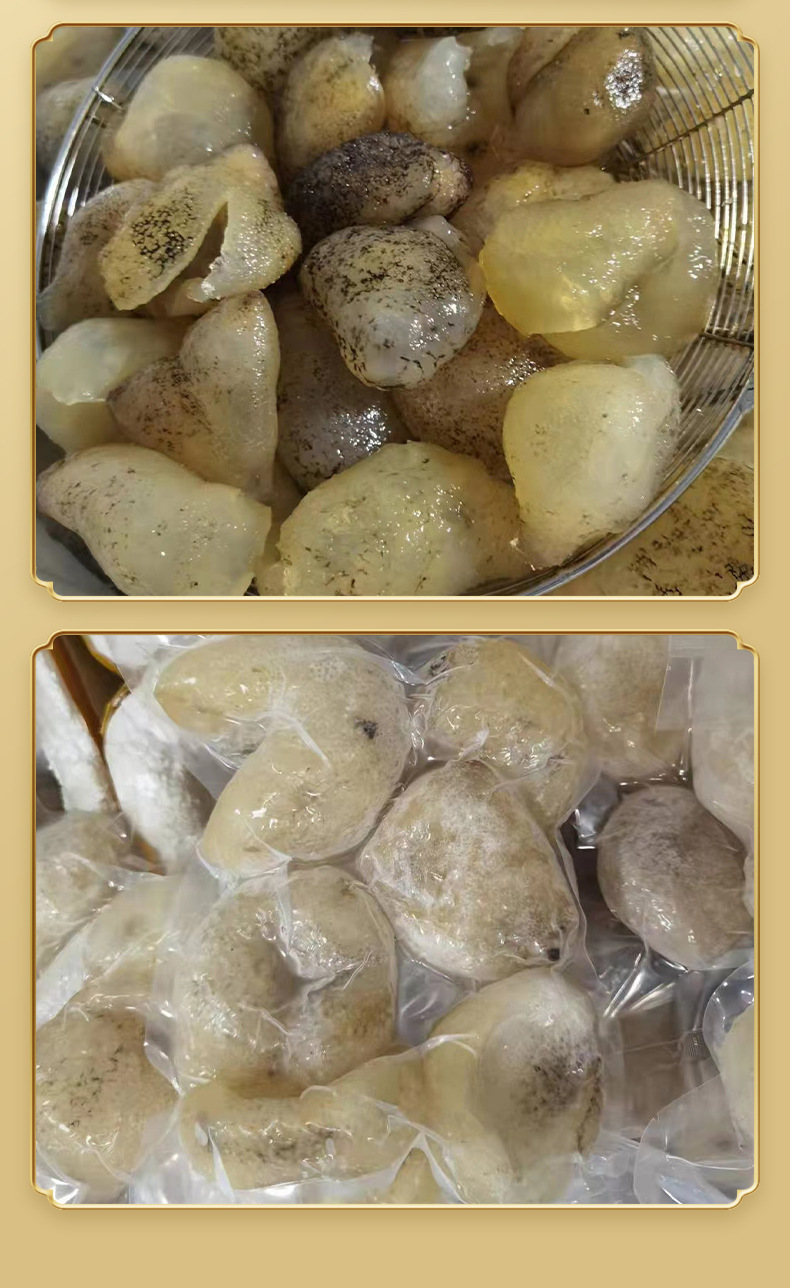 厂家自营海参冻干海参冷冻水发大珍珠参单冻球参批发