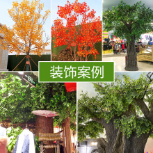 榕树叶过胶塑料榕树枝绿色植物银杏红枫叶子假树枝装饰造景