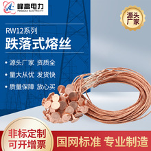 厂家供应rw12跌落式熔丝30A 40A 50A RW跌落式熔丝保险丝