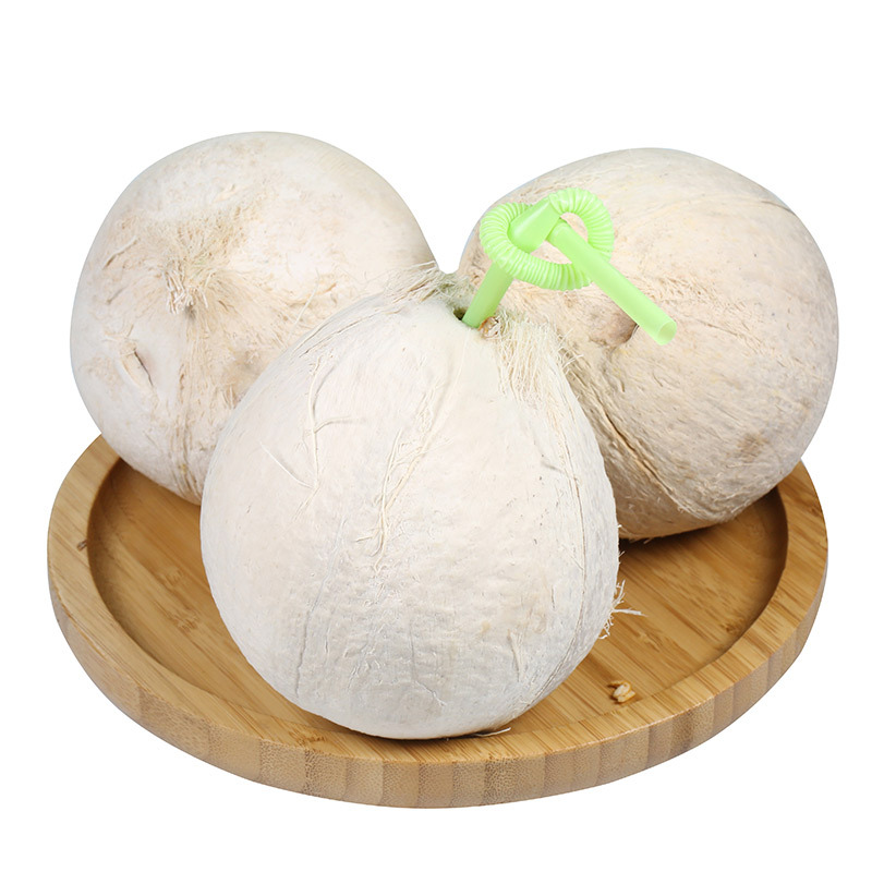 【全年款】海南椰白奶香新鲜椰青 白椰子孕妇水果椰青小椰子代发