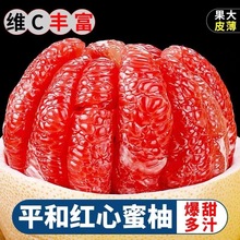 【一件代发】三红柚柚子当季新鲜现摘蜜柚红心柚水果红肉蜜柚应季