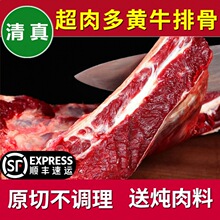 牛排骨新鲜黄牛排骨多肉牛肋排满肉排骨原切散养黄牛肉不调理清真