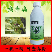 锐抗5%氨基寡糖素番茄病毒病农药批发植物诱抗剂 1升