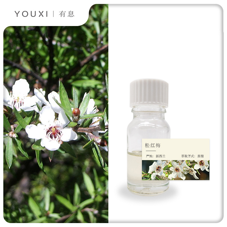 有息松红梅单方精油新西兰进口manuka松红梅精油