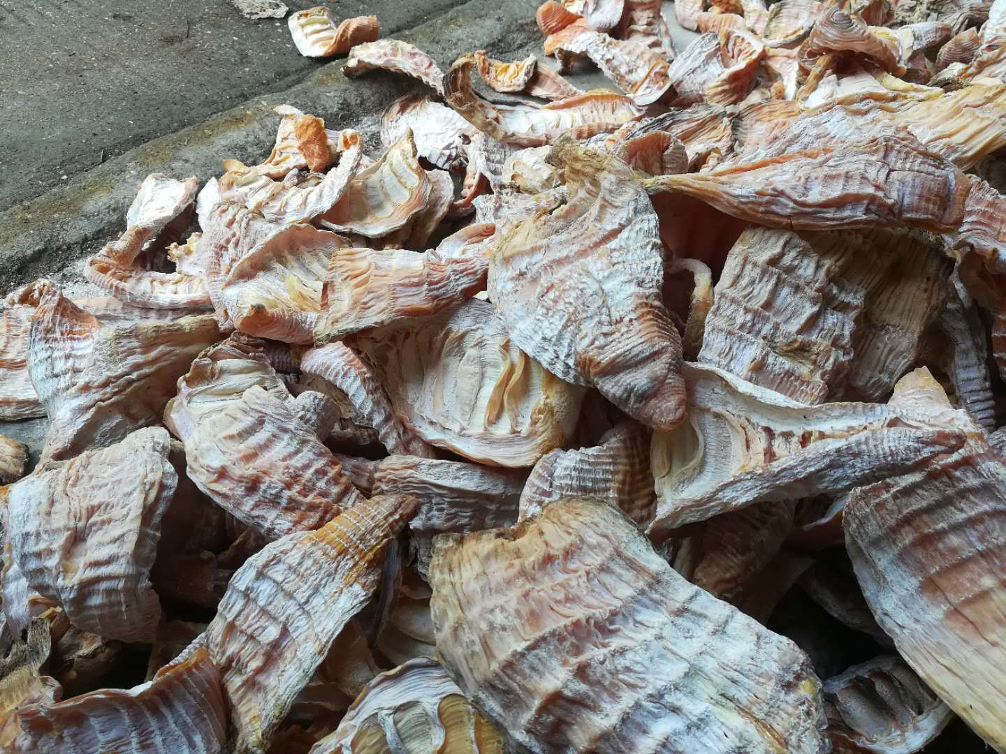 竹笋干批发干笋片餐饮食材农家自制烟笋尖毛竹笋烟笋