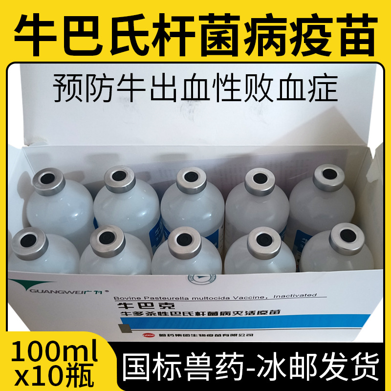 牛疫苗牛巴氏杆菌灭活疫苗牛出血性败血症传胸肺炎急性胃肠炎疫苗