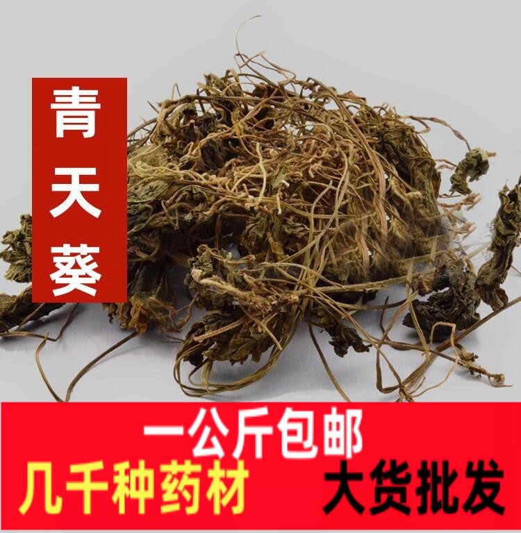 正品别名独脚天揆珍珠叶半边伞晴天葵独叶莲青天葵中药材青天葵