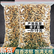 东北特产滑子菇干货小黄蘑滑菇无熏硫香菇干货批发